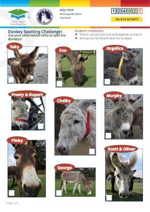 Click to view Resource 104021 Spot the Donkey! Team Challenge