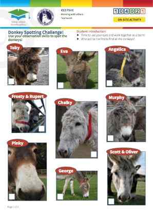 Click to view Resource 104023 Spot the Donkey! Team Challenge