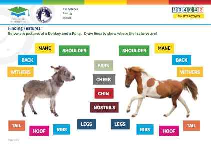 View Resource