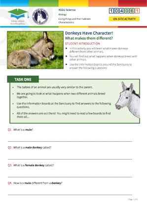 View Resource