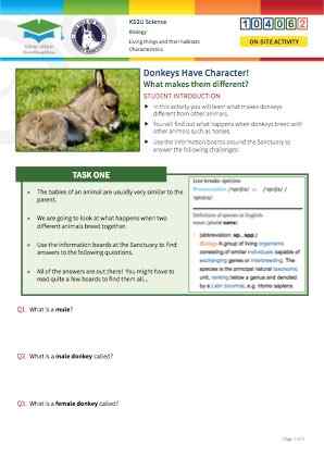 View Resource
