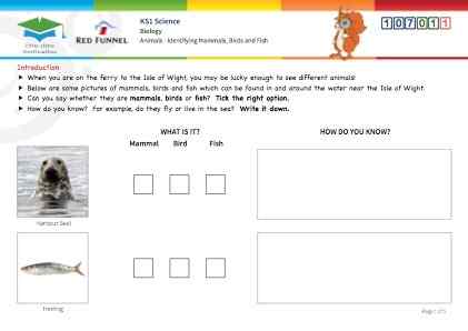 View Resource