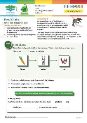 Click to view Resource 114053 Food Chains