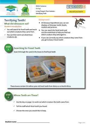 Click to view Resource 114054 Identifying Teeth Types