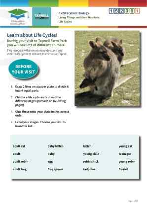 View Resource