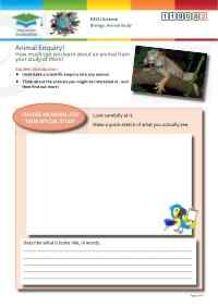 Click to view Resource 119082 Scientific Enquiry: Animal Study!